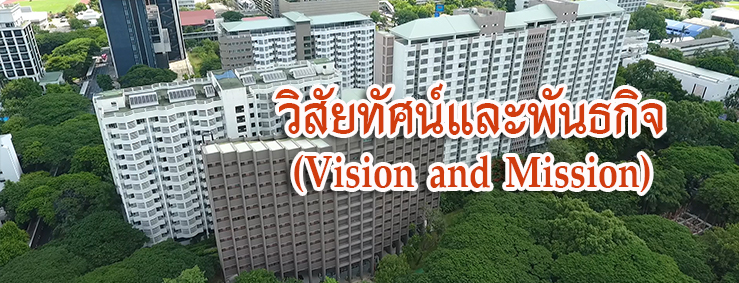 vision mission